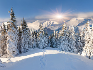 Beautiful winter landscape in the mountains