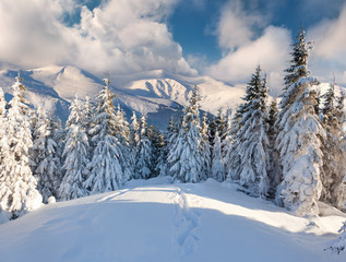 Beautiful winter landscape in the mountains