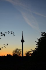 Obraz premium Silhouette Fernsehturm Mannheim