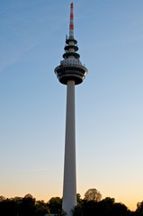Obraz premium Fernsehturm in Mannheim in der Dämmerung