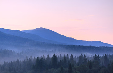 Mountains and forest fog of wild  Bieszczady National Park