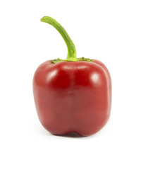 pepper