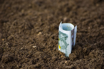 Geld wächst aus dem Boden