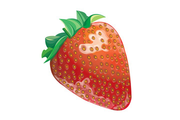 strawberry illustration