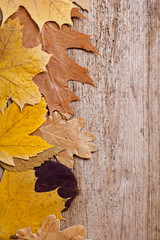 autumn leaves over wooden background