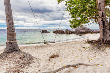 Swings and palm at tropical beach.