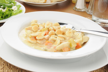 Chicken dumpling soup