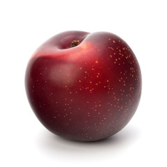 Red plum fruit