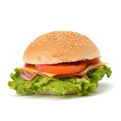 Junk food hamburger