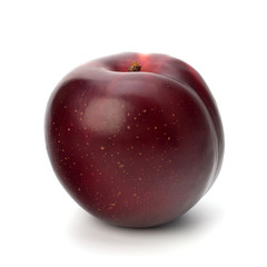 Red plum fruit