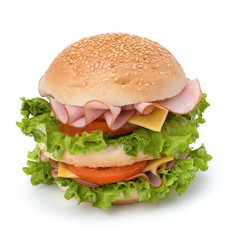 Junk food hamburger