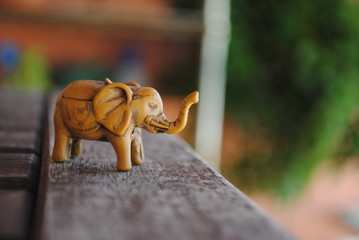 African lucky elephant