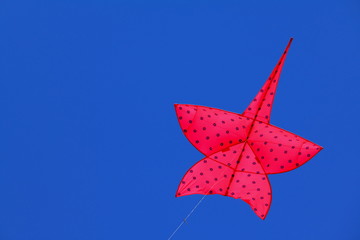 Thailand International Kite Festival