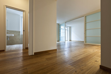interior empty house with wooden floor, passage
