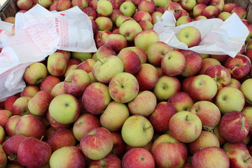 Shopping for apples