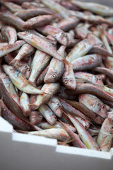 Fresh fish on ice on the market