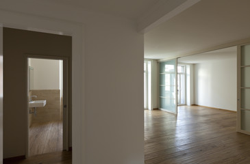 interior empty house with wooden floor, passage