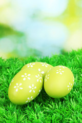 Colorful easter eggs on grass