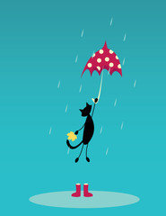 Cat with umbrella