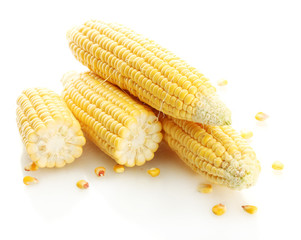 fresh corn, isolated on white