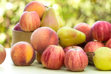 Fruits