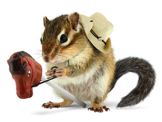 Funny chipmunk cowboy with stick horse - obrazy, fototapety, plakaty