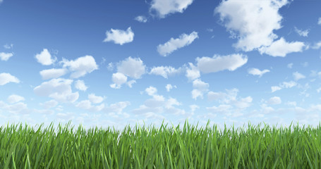 Sky and Grass - 44887679