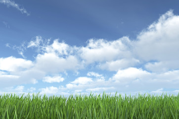 Obraz premium Sky and Grass