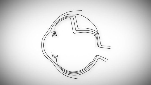 Human Eye structure animation illustration