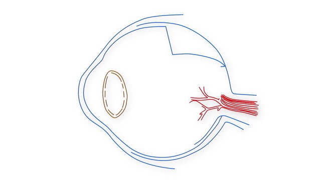 Human Eye structure animation illustration