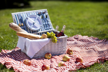 Perfect eten in de tuin. picknick
