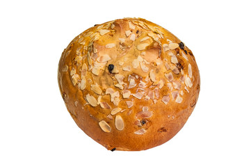 Cross Bun
