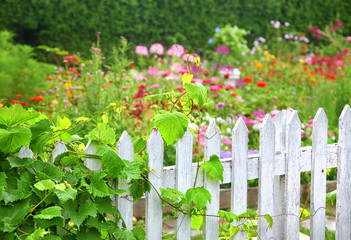 Garden Fence