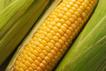Sweet corn