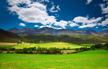 Foto op Canvas Zuid-Afrikaans landschap © Anna Om