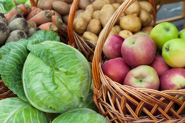 various vegetables and fruits
