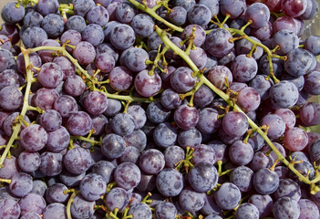 Grapes Up Cluse