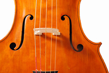 Basse de Violon 3