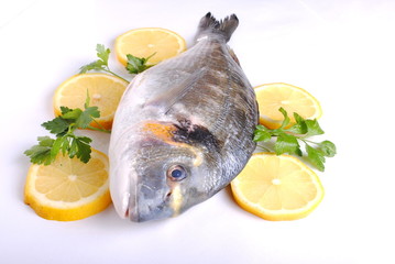 raw sea fish with lemon slices and parsley