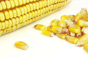 cobs and corn