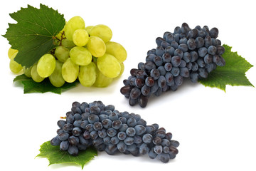 Set of fresh green and dark grape isolated on white