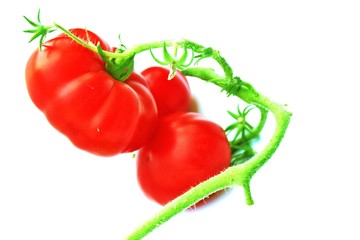 Fleischtomaten - isoliert
