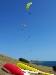 paragliders by the sea and in the blue sky