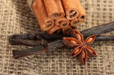 Vanilla pods with spices on canvas background close-up