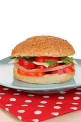 Appetizing sandwich on color plate isolated on white