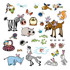 Stickers pour porte Animaux de la forêt ensemble de vecteurs d& 39 animaux sauvages enfantins