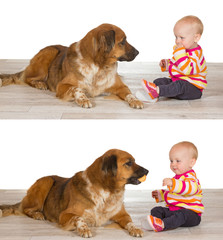 Generous baby sharing biscuit with dog