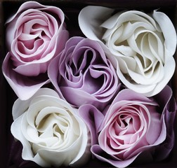 rose color pastello