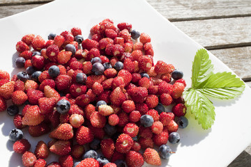 wild strawberry and blueberry  are on the white plate