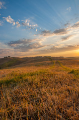 Fototapeta premium Early morning light in the Tuscany region of Italy